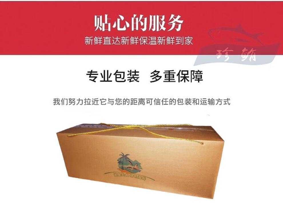 1620斤金枪鱼整条顺丰空运道客南方蓝旗刺身去鳃去脏海鲜冷冻吞拿鱼