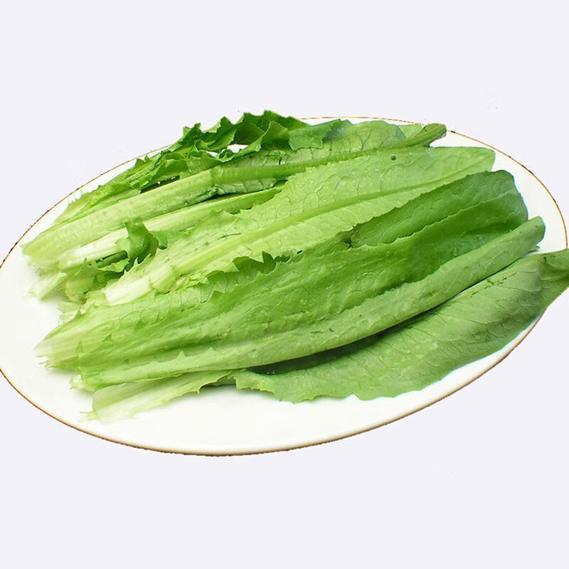 新鲜油麦菜蔬菜云南当季农家自种可生吃高原蔬菜绿叶菜坏果包赔 3斤