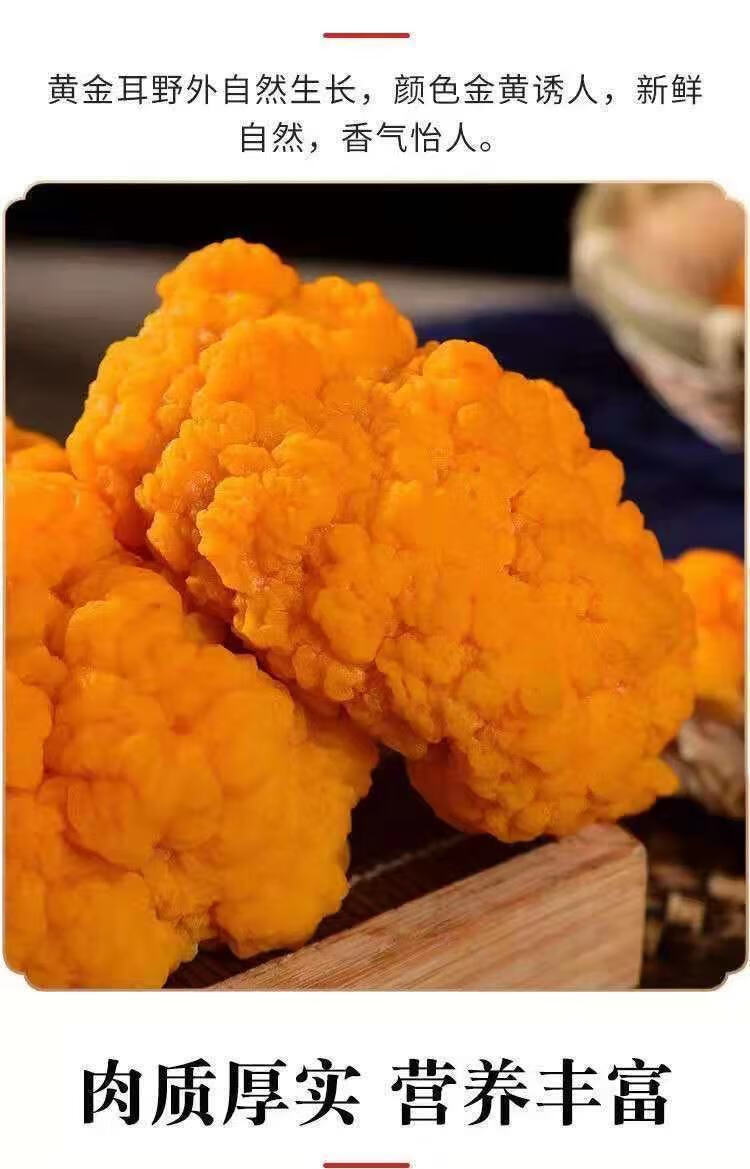 味小府(wei xiao fu) 新鲜耳菌云南特产黄耳菌耳菌菇银耳羹菌菇非干货