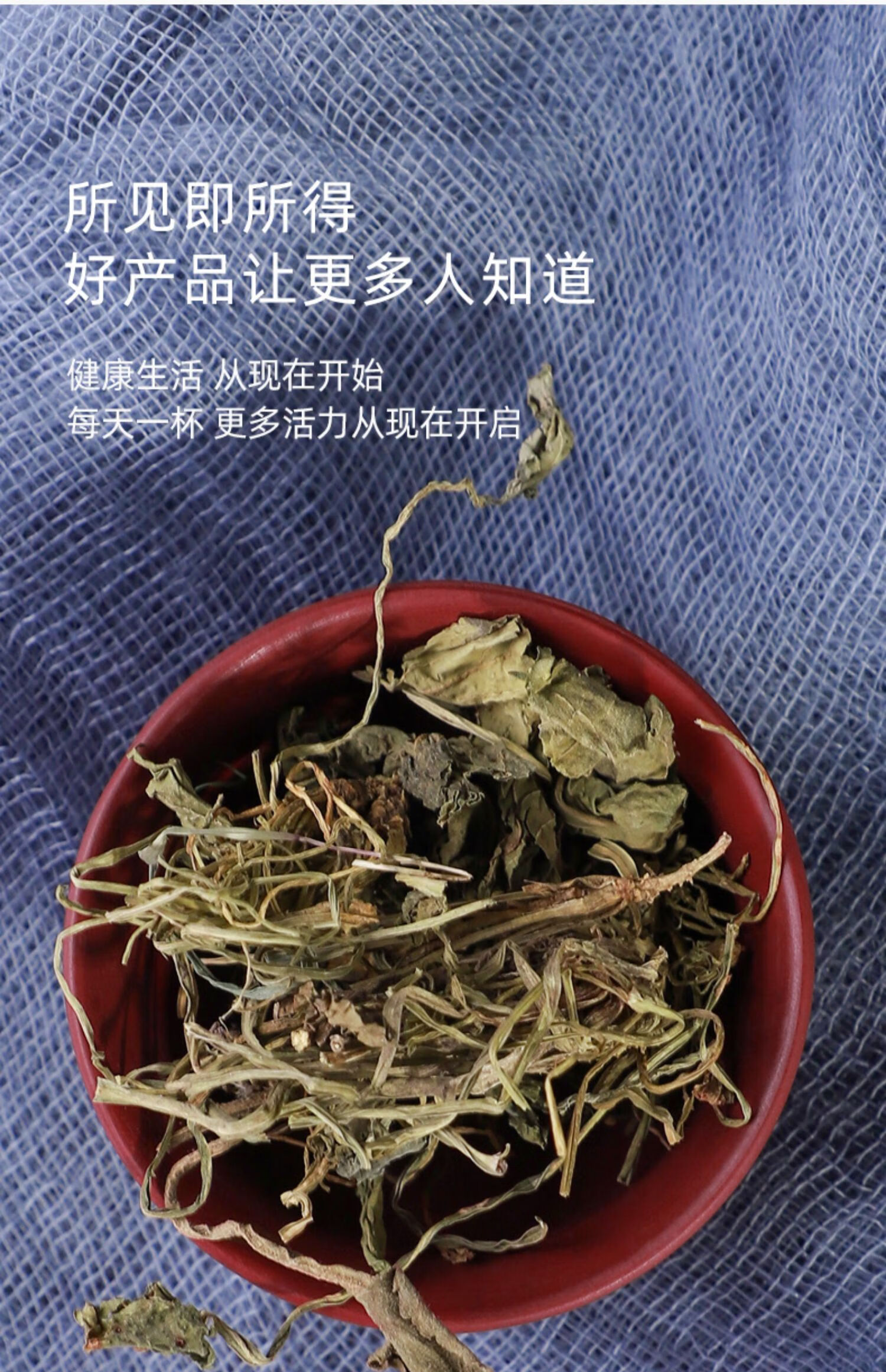 同仁堂地丁草新鲜500g紫花地丁草药新鲜干货中药材非野生特级紫地丁