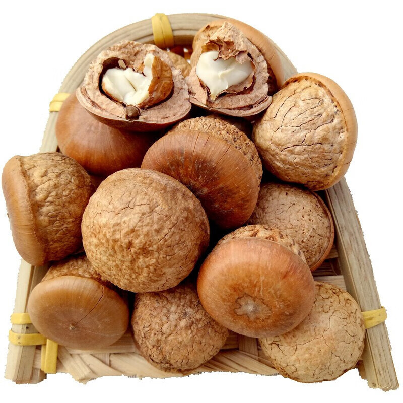 风流果野外生益肾子精选广西男性泡酒料500g子天竺粒厚鳞伊梵麦