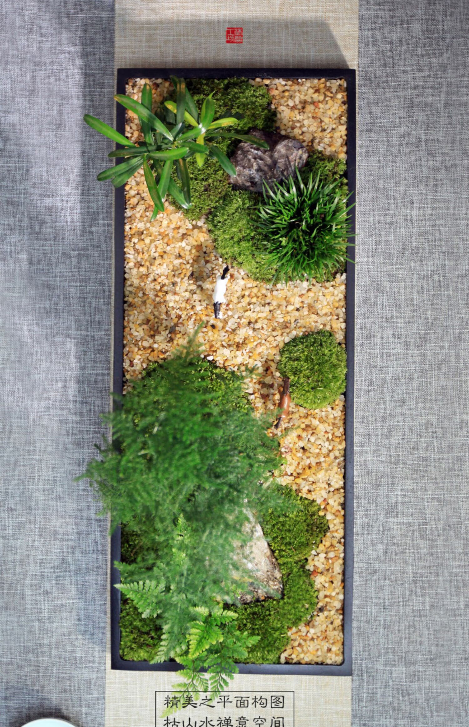 花雨听禅中式枯山水盆景组合盆栽文竹苔藓微景观菖蒲微型禅意茶室 小