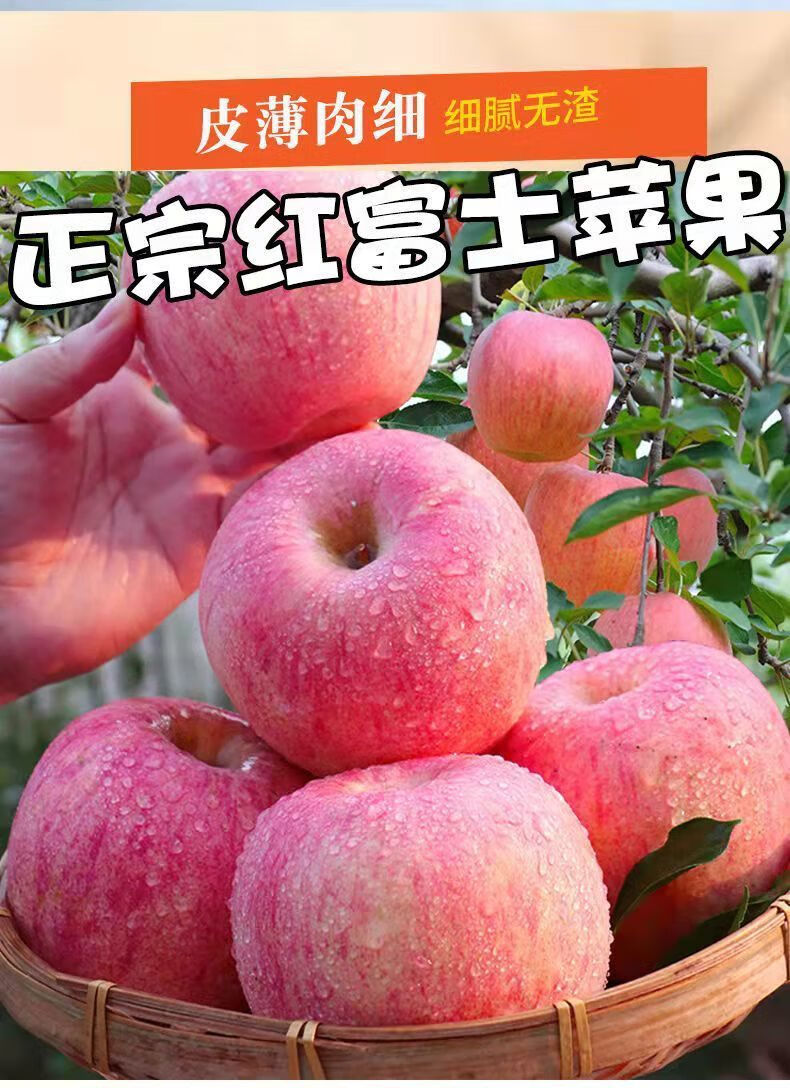 2021年陕西脆甜高山红富士苹果新鲜当季应季水果310斤整箱净重5斤中果