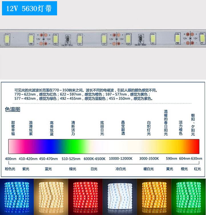 led灯带5630低压12v24伏3528贴片蓝色3000k白色红色5050套管水24v5050
