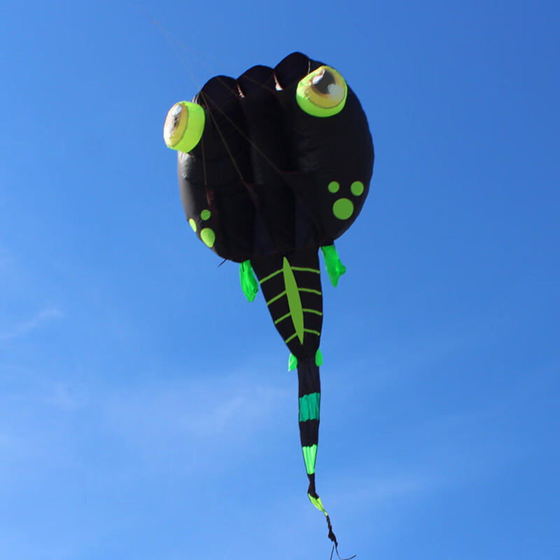 软体无骨架风筝大连吕氏青州风筝蝌蚪漂亮大白蝌蚪大型软体风筝新奇特