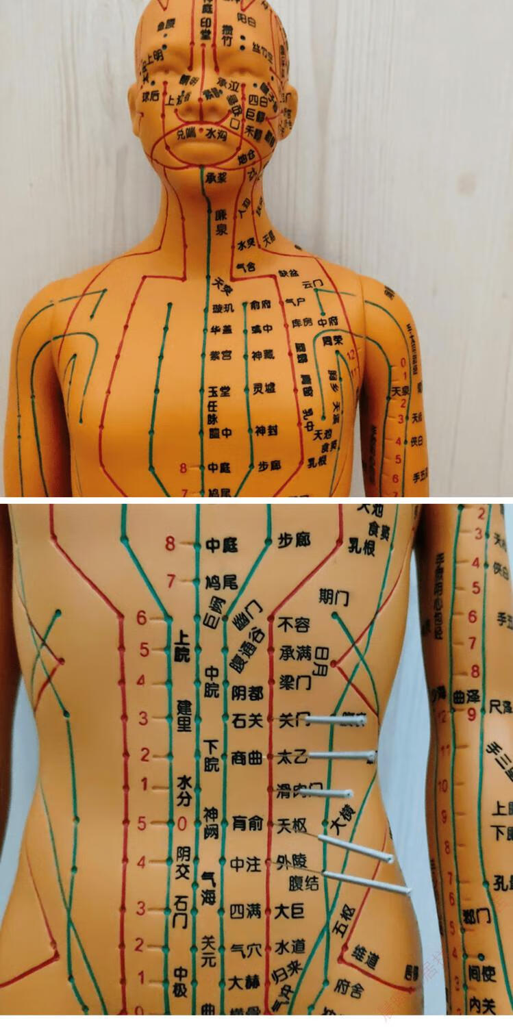 中醫人體經絡穴位模型針灸圖小人小皮人全身扎針練習按摩推拿銅人新