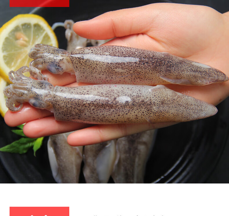 海兔子满籽新鲜活笔管鱼带籽海兔海鲜鲜冻全籽籽乌整箱小鱿鱼水产腾旺