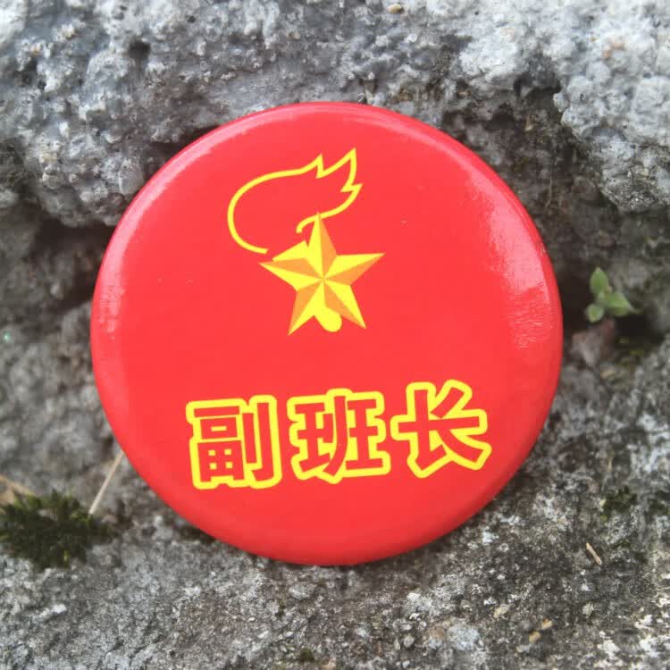 儿童徽章胸针奖励胸牌别针小学生幼儿园胸章三好学生个班干部胸针10个