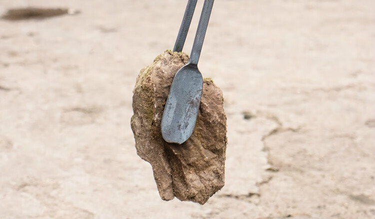 长柄老式火钳蜂窝煤铁钳扁头垃圾夹钩子煤球火剪农村灶膛柴煤炉夹28cm