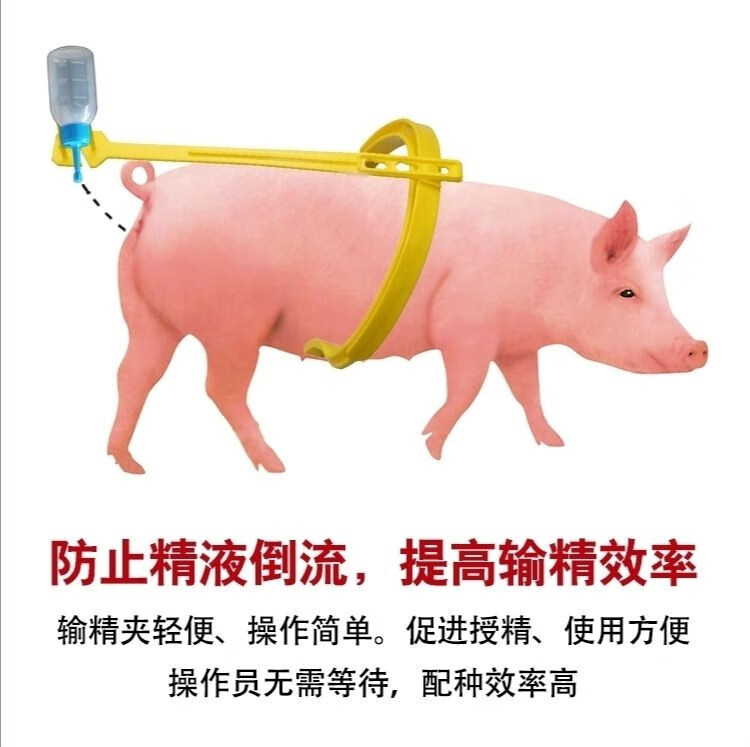 母猪用输精夹母猪配种夹输精支架母猪授精夹子猪背夹猪人工设备小号背