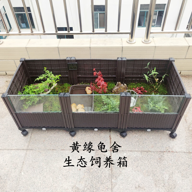 黄缘龟舍黄缘饲养箱安缘安布台缘窄桥黄喉星点火焰黄额养殖箱12080