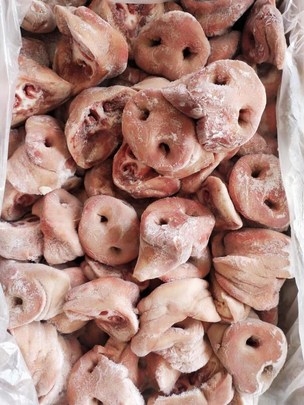 新鲜冷冻猪鼻子带骨猪拱嘴去骨猪鼻20斤一箱卤菜烧烤 云港海味.