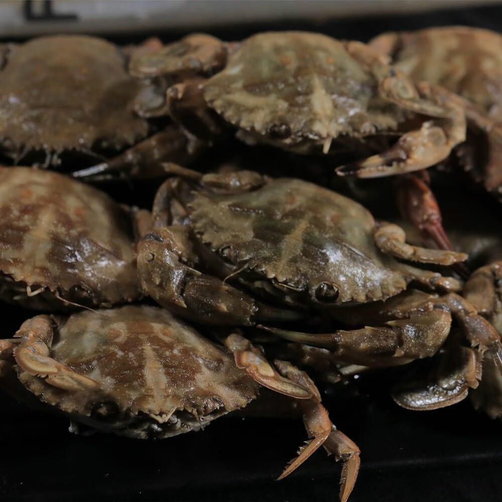 海蟹开盒即食丹东特产生腌小花盖醉蟹呛蟹咸蟹海鲜 三袋【图片 价格