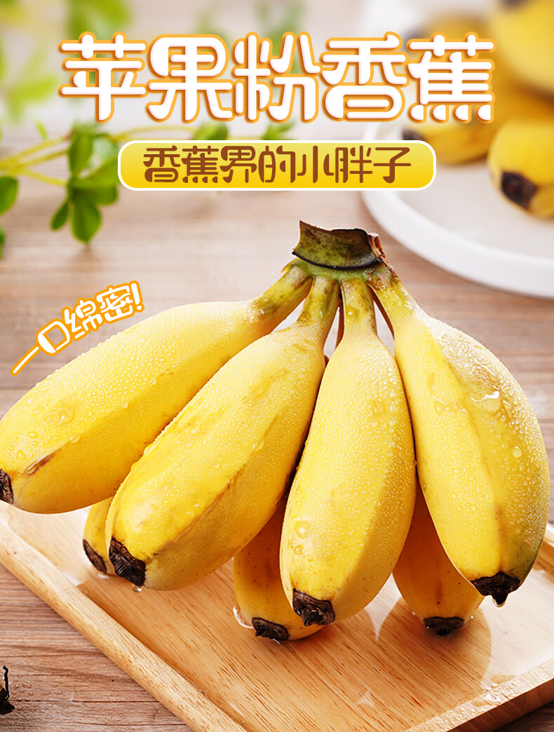 正宗苹果蕉香蕉新鲜9斤当季整箱水果粉蕉小米芭蕉香焦甜10多规格选择