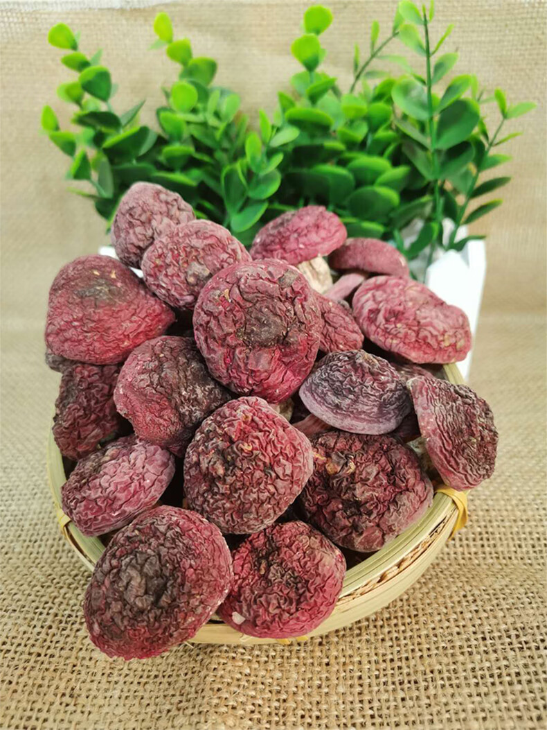 红菇干货500g福建武夷山野生正红菇红蘑菇红椎菌月子菇【图片 价格