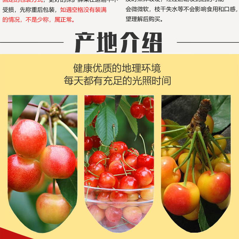 (稀有品种)智利黄金车厘子雷尼尔rainier黄樱桃黄色大樱桃黄蜜新鲜