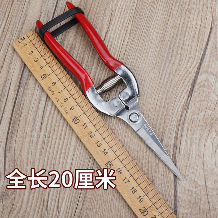 2ebdcf6a5e0ca365.jpg