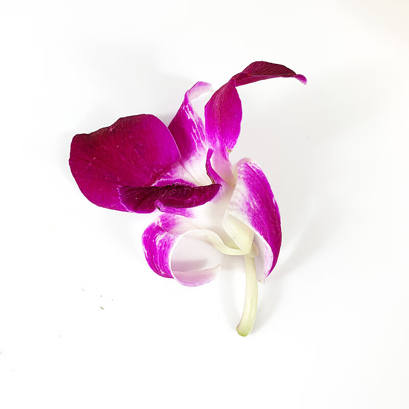 新鲜洋兰花250g* 2杨兰花马兰花锅酒店饭店西餐点缀摆盘装饰鲜花朵