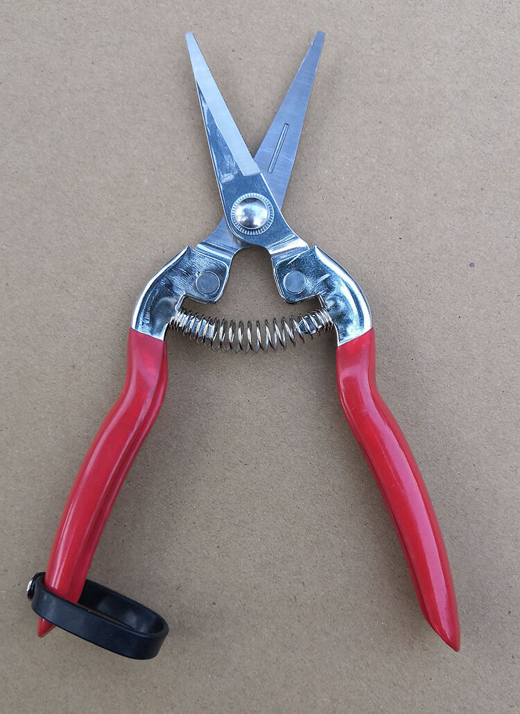 三木园艺 稀果修果剪葡萄枝专用剪刀翘头蔬果采果剪子水果园橘子果树