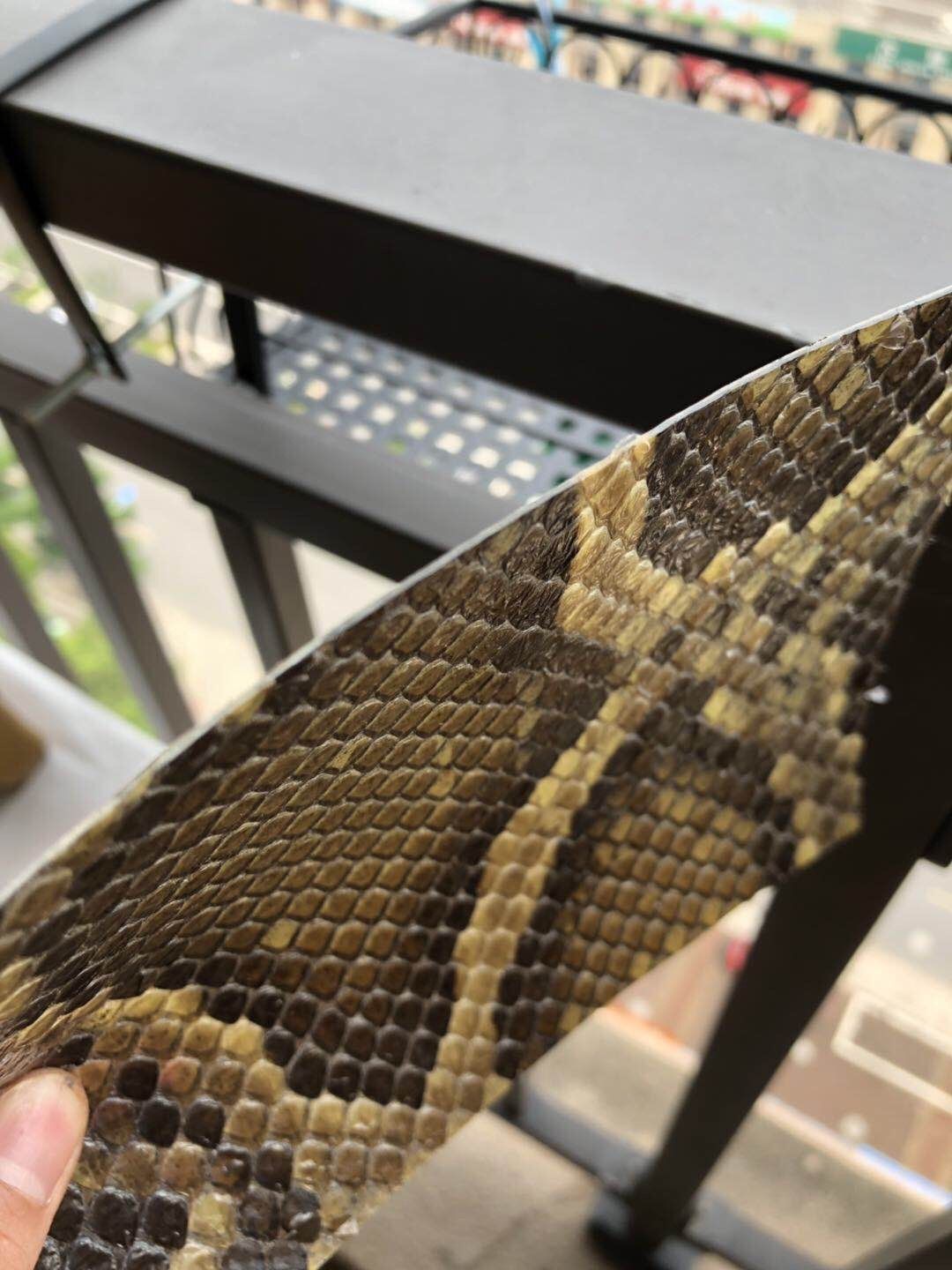 二胡蛇皮三弦蛇皮高胡蛇皮潮州二弦蟒皮 潮州二弦14宽12长【图片 价格