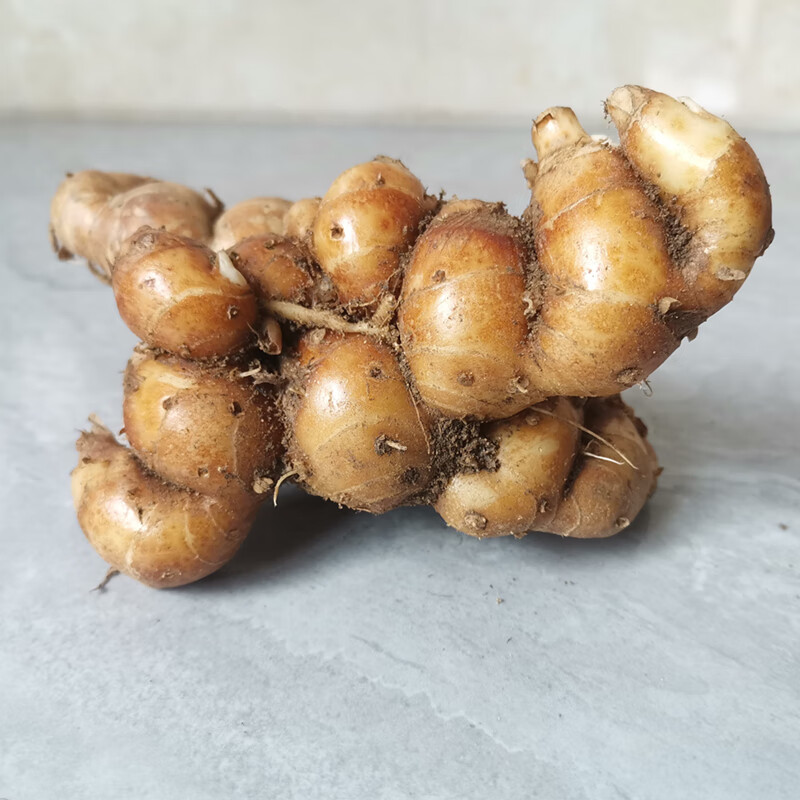 花中酷特产精选新鲜沙姜正宗白切鸡配料山奈个大香浓可种植1000g