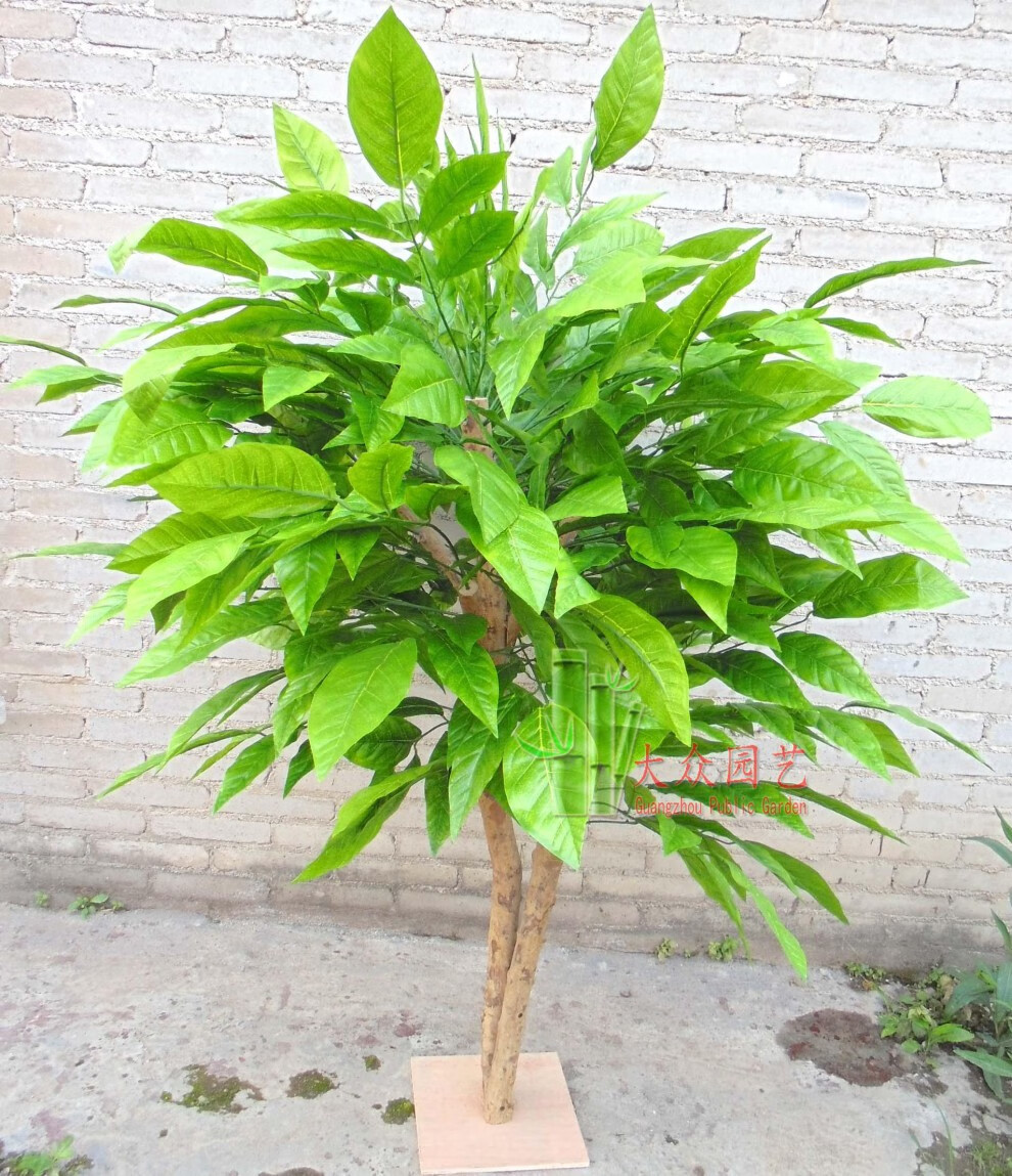 可狄(kedi)仿真假果树仿真树盆景仿真芒果树假芒果树水果档超市水果