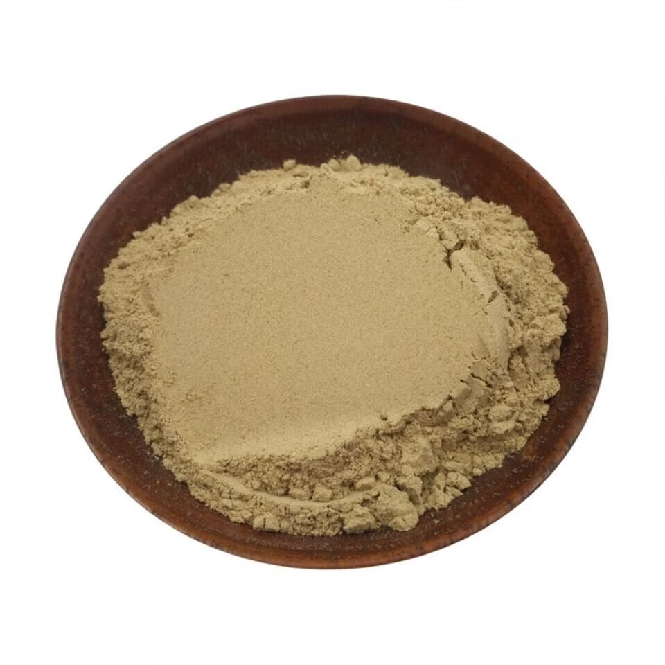 当归粉新鲜当归粉食用粉面膜粉无硫当归片现磨超细粉50克