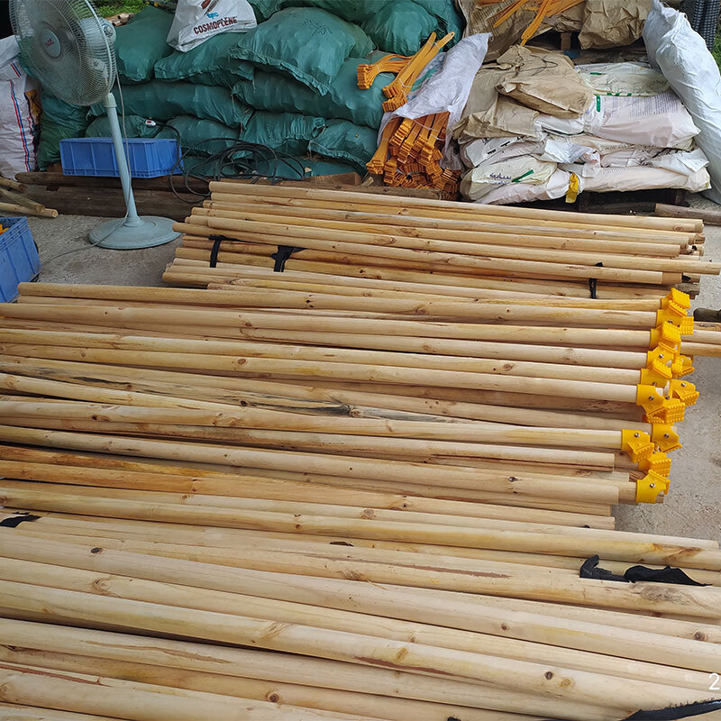 松木支撑杆树木支撑固定器护林绿化树支架套杯绑带186米长48公分粗三