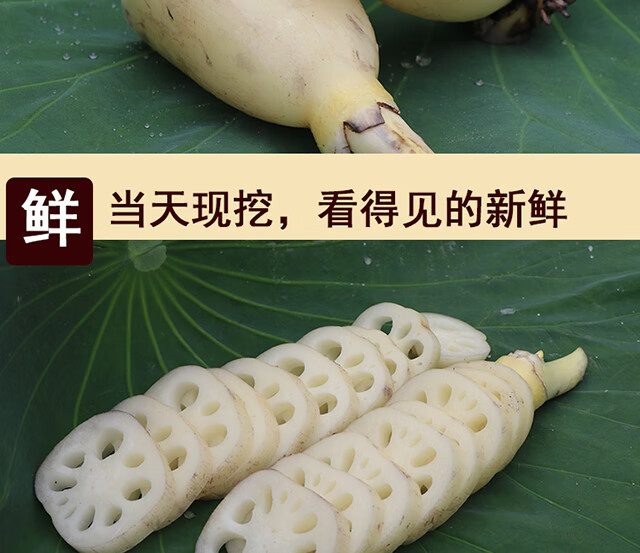湖北尖带新鲜现挖凉拌嫩脆藕特产小水果新花藕莲菜2000g