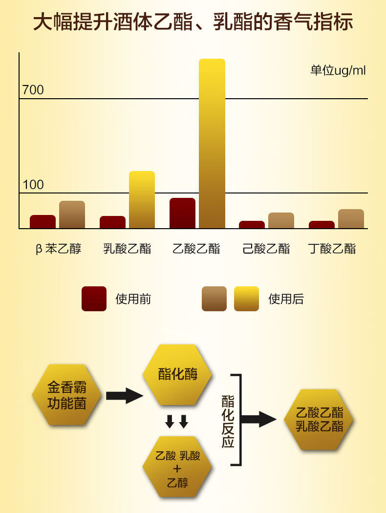 酒麴安琪白酒麴加金香霸釀白酒專用套餐產酯增香去苦抑辣酒麴酵母粉