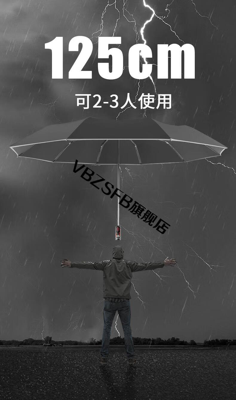 泽时雨德国超大号全自动反向雨伞抗暴风雨车载男高端晴雨两用自动收缩