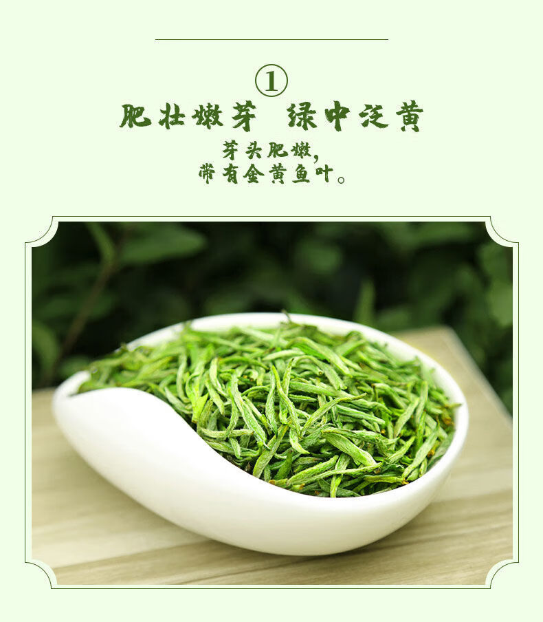 绿茶君山毛尖茶叶明前新茶高山云雾嫩芽浓香耐泡清香型高档礼盒装毛尖