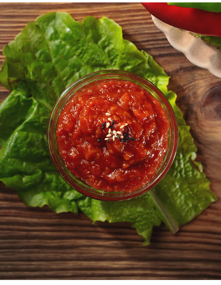 韩国原装进口清净园烤肉蘸料蘸酱450g辣酱韩式烤肉专用腌料辣调料