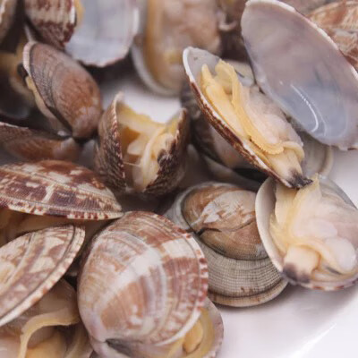 原汁带壳真空小包装蛤蜊新鲜无沙熟杂色蛤花蛤花甲蛤即食蚬子蛤蜊220g