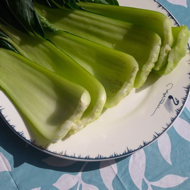 初田食材温州油冬菜2500克5斤一份特有的新鲜蔬菜青菜老家味道温州油