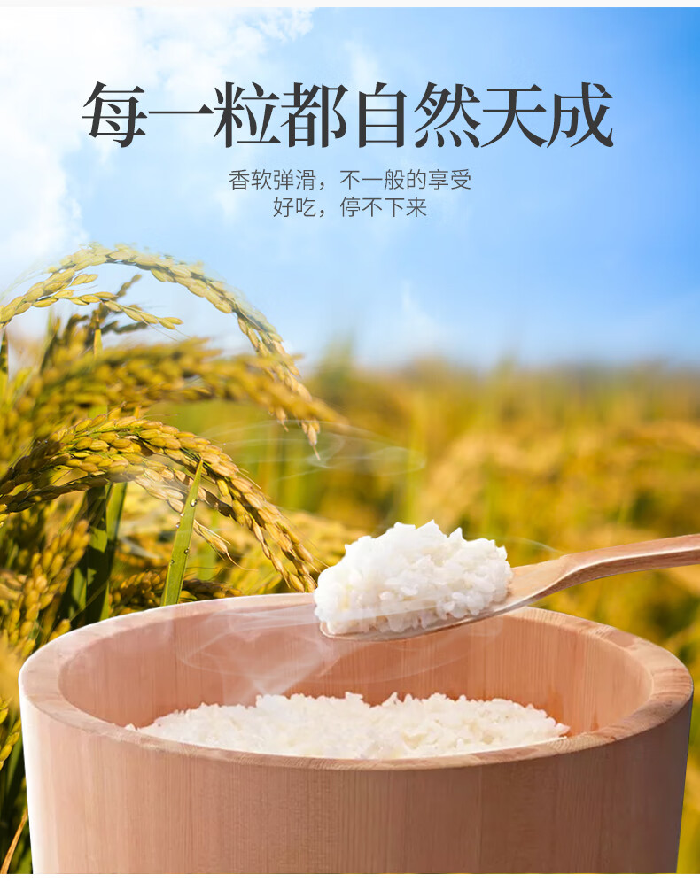 严选年货好物寒地黑土东北大米25kg长粒香米寒地黑土农家自产5斤真空