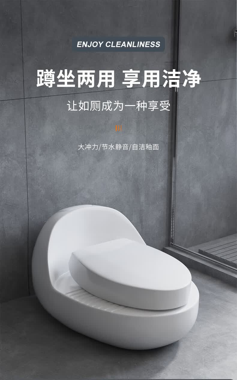 2022新款aqto 蹲坐两用马桶一体蹲坐两用马桶双用一体可蹲可坐家用座