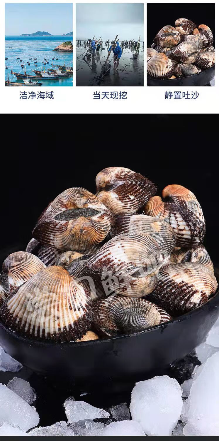三门新鲜血蛤鲜活毛蚶血蚶无沙泥文蛤鲜活特大号全国5055只斤3斤装