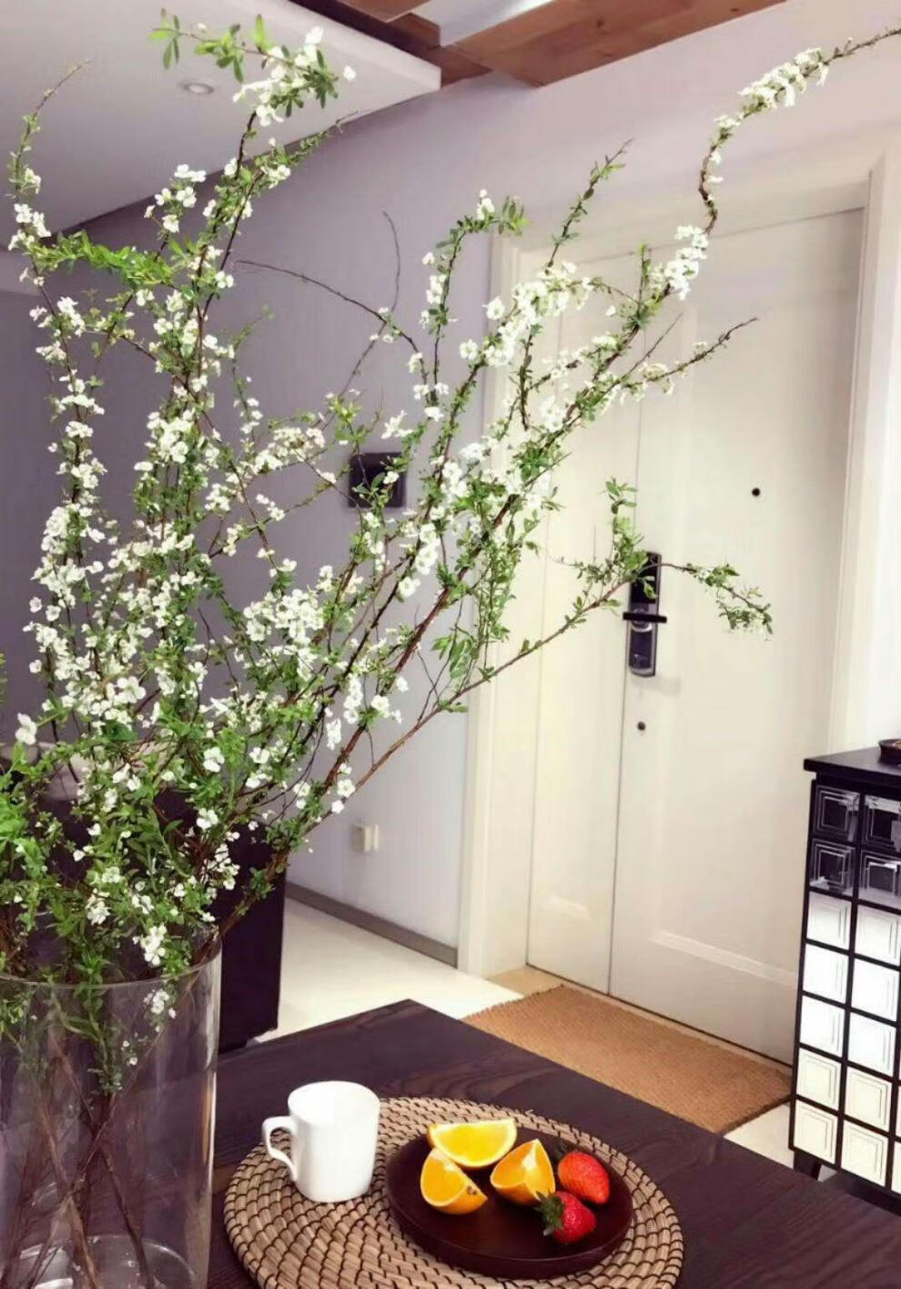 白色 雪柳 高60-80公分 不含花瓶【图片 价格 品牌 报价】-京东