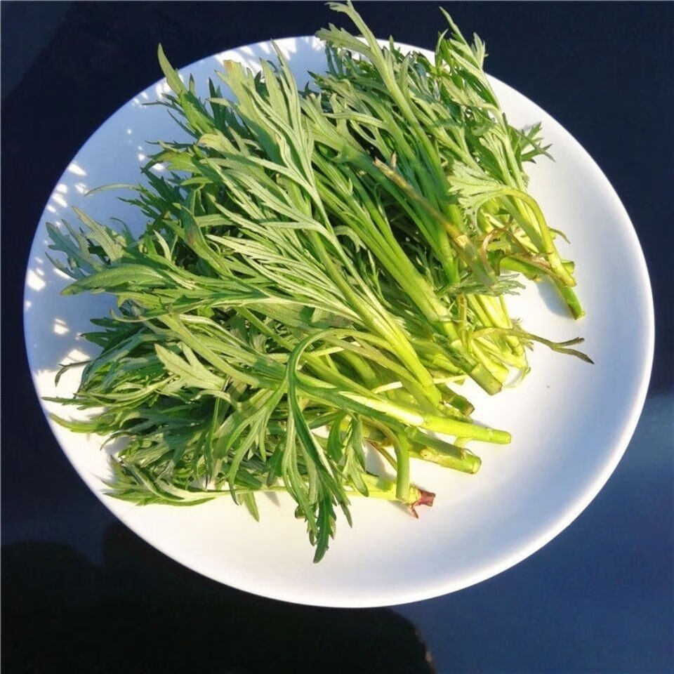 野菜柳蒿芽的吃法图片