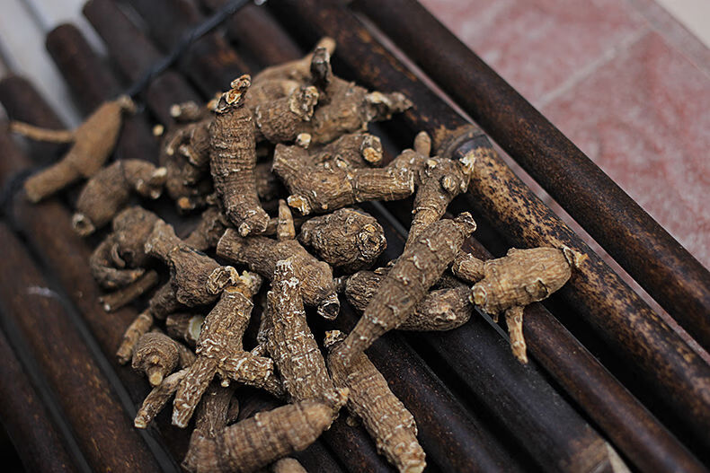 藏参 须支人参切片长白山须参茶 10克送枸杞