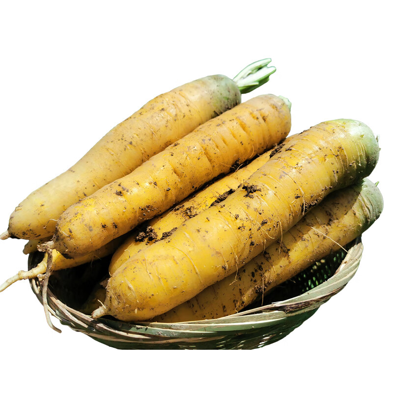 新疆黄心胡萝卜新鲜蔬菜农家自种带泥黄胡萝卜抓饭专用宝宝辅食5斤