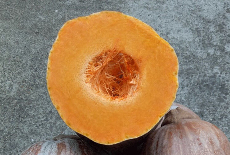 00g店铺:凯楠果蔬拼购店商品编号:10044034606778商品名称:海南老南瓜