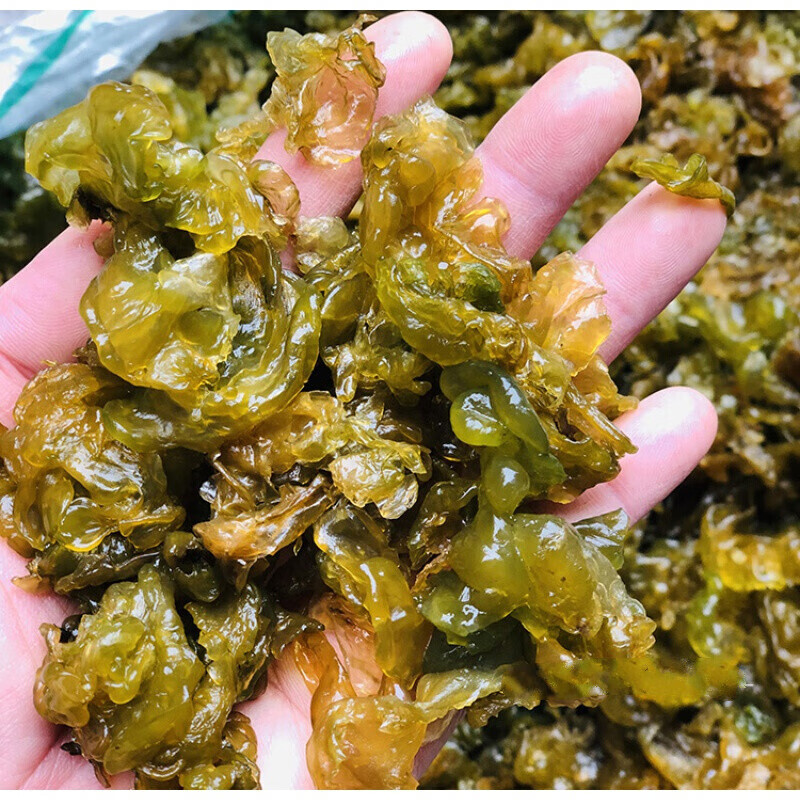 地皮菜新鲜湿地衣干货地软地木耳雷公菌500g