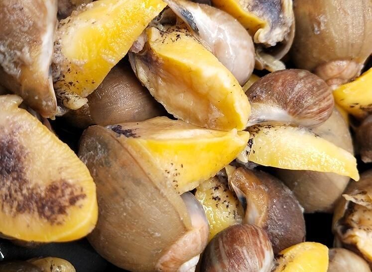 鲍螺海捕速冻新鲜老婆脚蛾螺花螺东风螺海螺 1斤装 普通小鲍螺(1斤20