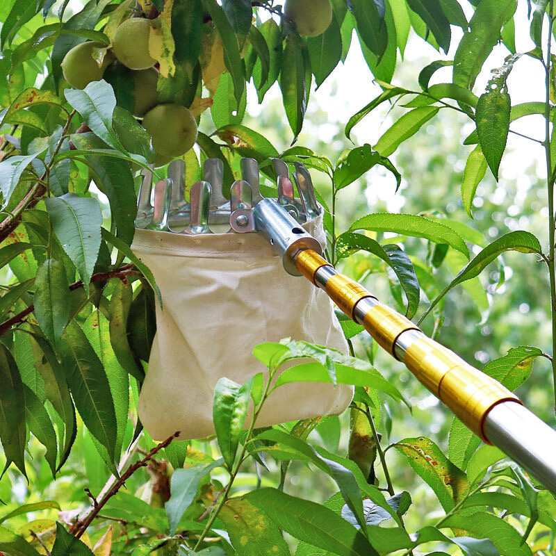 摘洋槐花神器摘果神器高空摘芒果工具摘洋槐花神器摘香椿芽勾子不锈钢