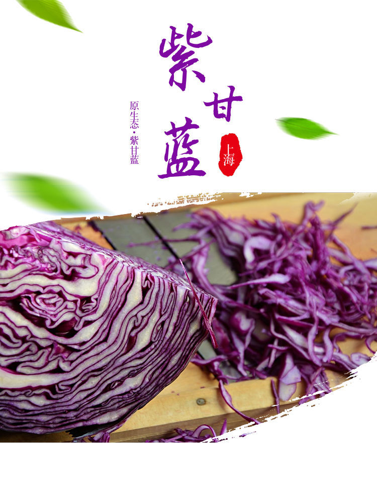 知鹿(顺丰速发)紫甘蓝新鲜蔬菜 紫包菜沙拉菜 紫色的球生菜西餐红紫