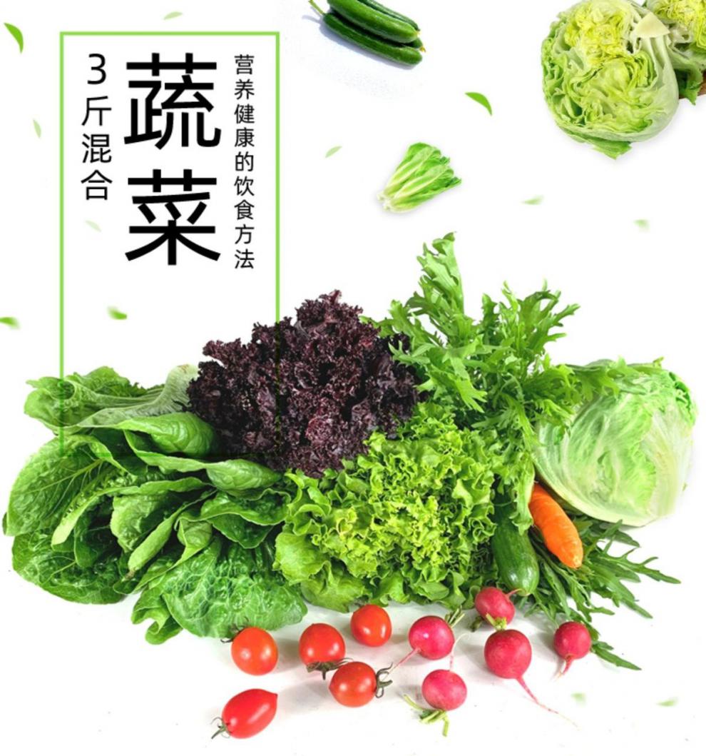 绿食者蔬菜沙拉套餐3斤新鲜混合沙拉色拉生菜生吃健身轻食食材10种