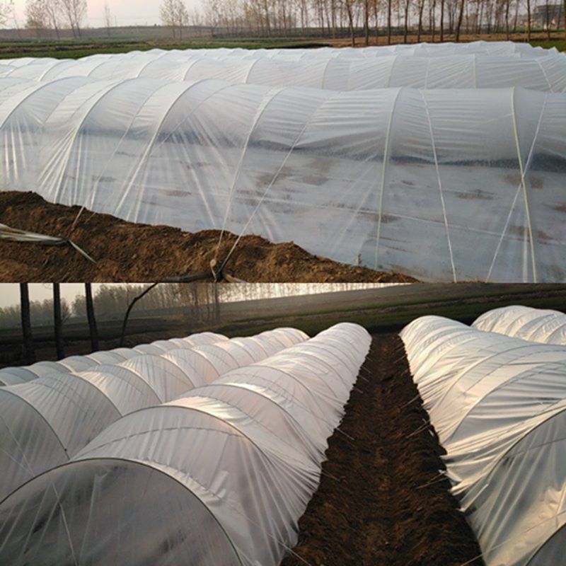 小拱棚拱竿玻璃纤维杆小拱棚支架蔬菜大棚育苗苗木拱竿农用6mm8mm10mm