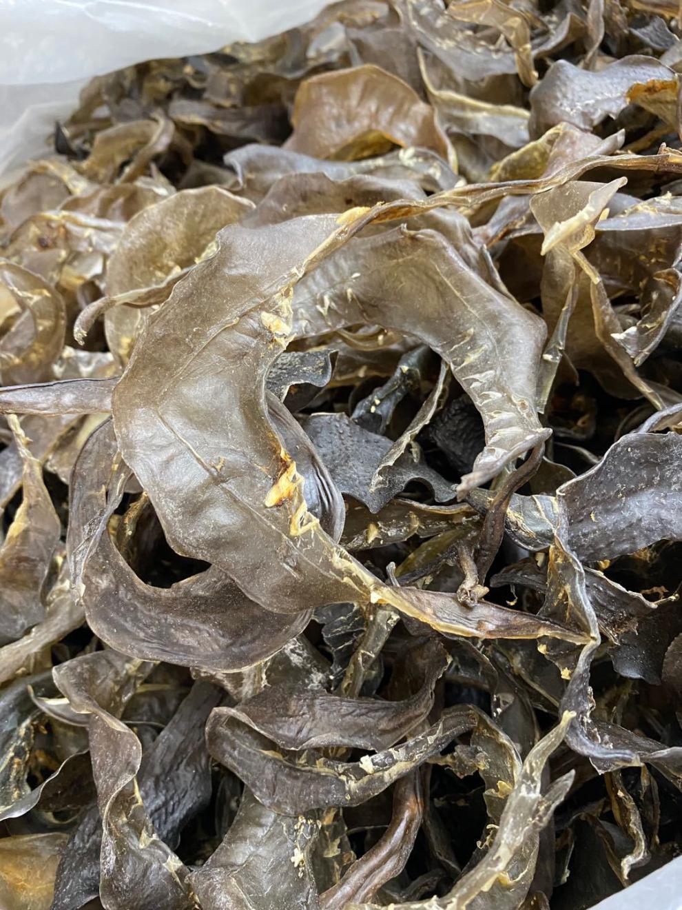 90头甲鱼裙边干250g水鱼边王八裙边龟裙边乌龟边龟板胶250g